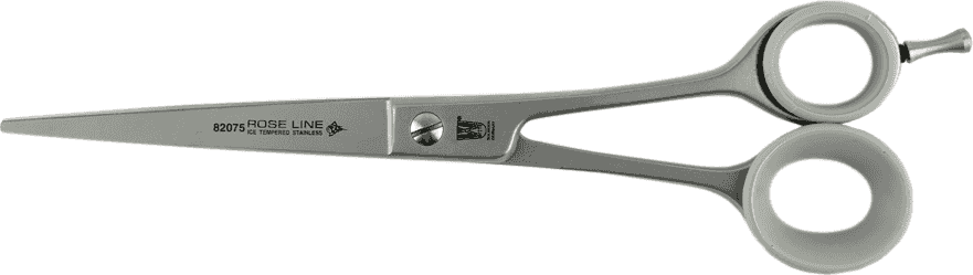 A pair of dog grooming scissors