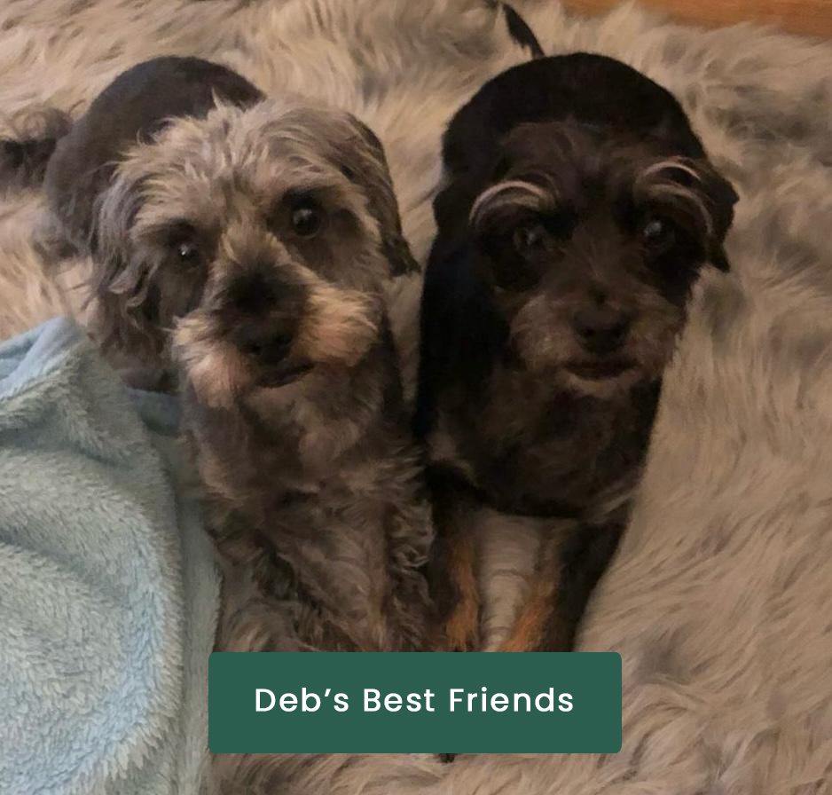 Deb's Best Friend - Grooming Tutor